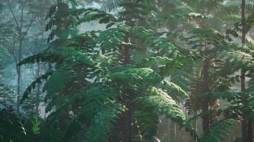 Dense Green Forest With Abundant Trees