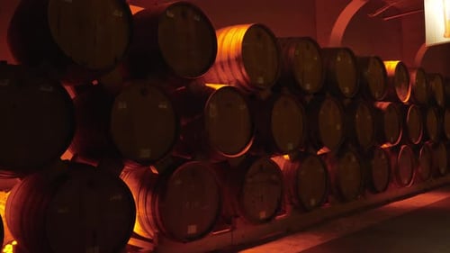 Wine or cognac barrels in cellar of winery,