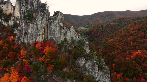 Drone footage of Seneca Rocks in West Virginia during peak Fall foliage ...