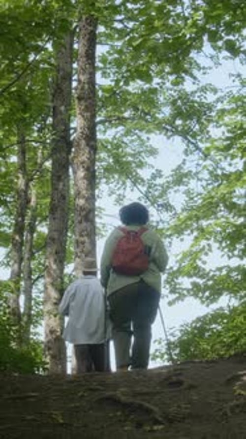 Adult Friends Hiking with Poles in Forest