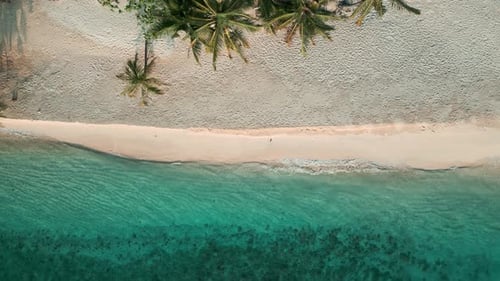 Aerial view serenity sea wave on white beach palm tree turquoise water