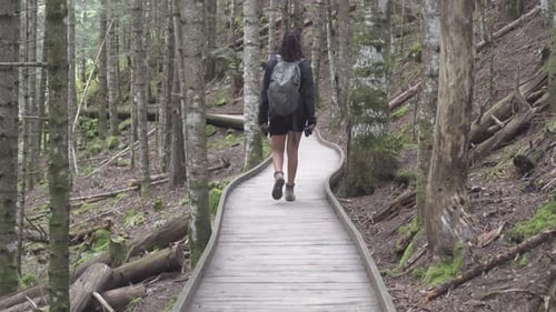 Back shot of a girl with a backpack trekking along a wooden path in a green forest