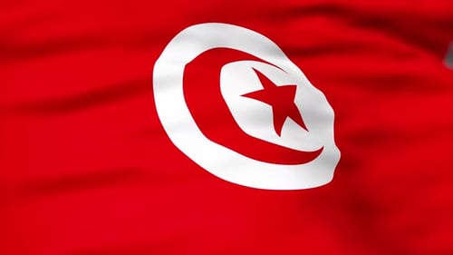 Realistic Waving Flag of Tunisia Animation Loop