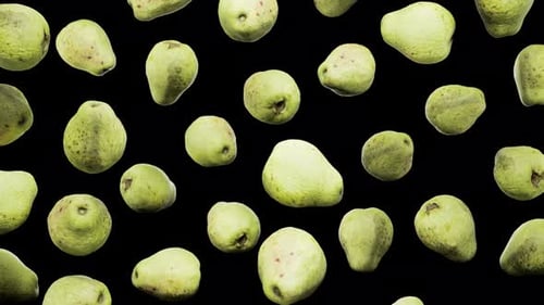 Seamless Floating Guavas on Alpha