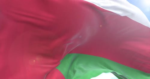 Oman National Flag Waving in Realistic Loop Against Blue Sky