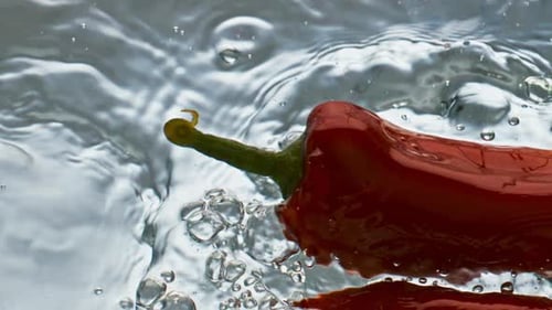 Red Hot Chili Peppers Floating in Water