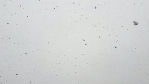 Schneefall in Zeitlupe vor weißem Himmel mit treibenden Schneeflocken im Winter