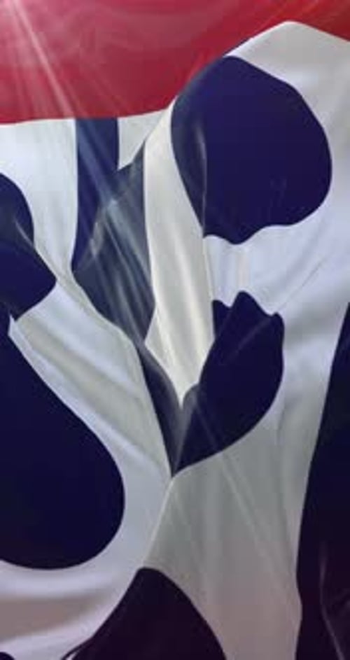 Des Moines Flag