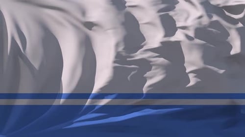 Fluid Waving Blue and White Flag Background Animation