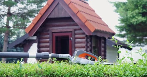 Close Up of Electric Trimming Machine Lying on Green Bush