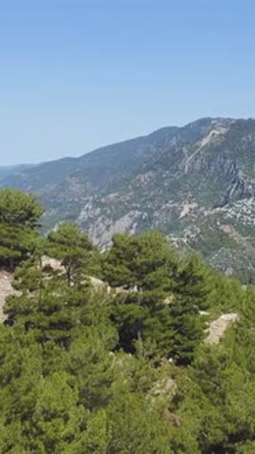 Green Mountain Range Completely Covered with Trees and Vegetation Clip Magnificent Nature Aerial