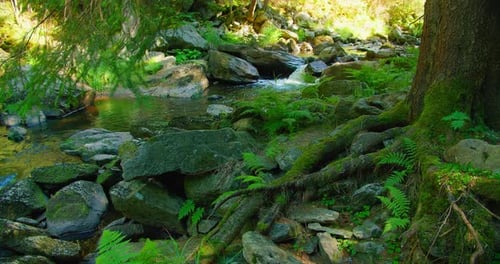 Mountain River in Wild Nature Landscape