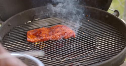 Putting juicy and spiced salmon steaks on the barbecue to grill - slow motion