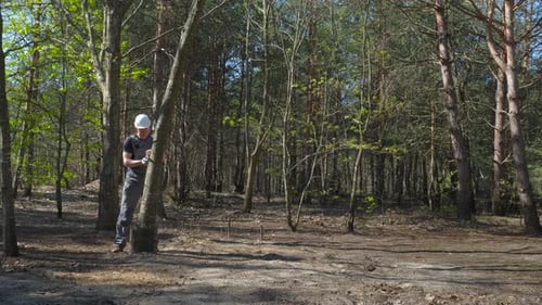 Lumberjack Sawing a Tree in the Forest