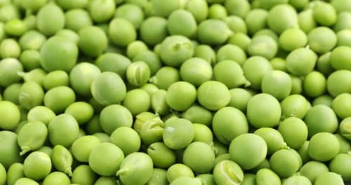 Pile of fresh green peas as background, closeup
