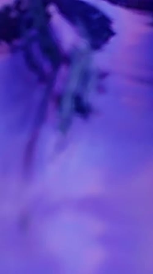 Abstract pink and purple underwater background