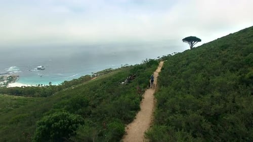 Drone, person and run on mountain path with dogs, fitness and cardio in nature with landscape