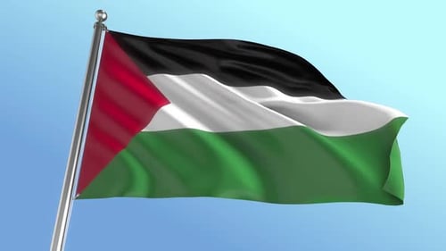 Realistic Palestine Flag Waving Loop on Clear Sky