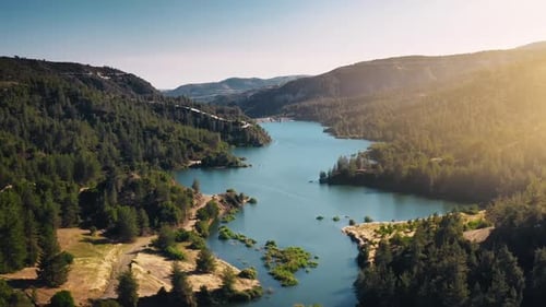 Aerial Blue Lake Sun Landscape on Green Forest Background