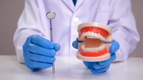 Dental Professional Demonstrating Teeth Model with Blue Gloves