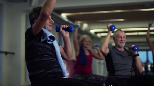 Group of Cheerful Seniors in Gym Doing Exercise with Dumbbells on Fit