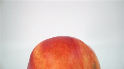 Peach nectarine close up on white background isolated 4K