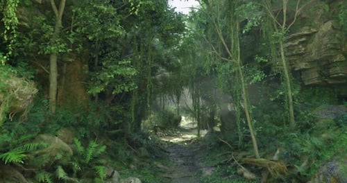 Serene Forest Path Bathed in Greenery and Natural Light