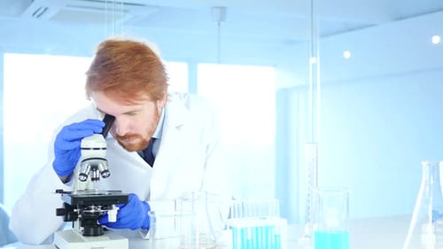 Scientist Using Microscope in Bright Laboratory