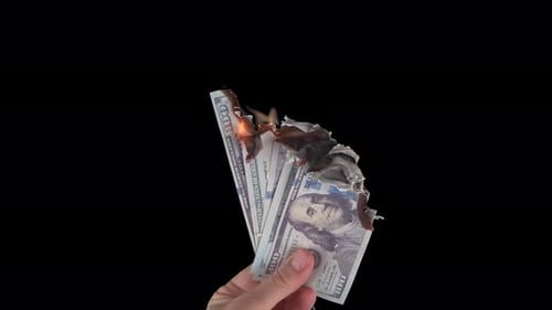 Burn Banknotes Green Screen Dollar