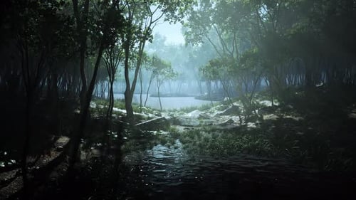 Pond in a Forest with Fog