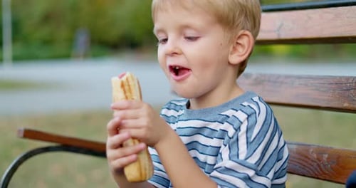 Child Boy Eats a Hotdog Sandwich the Park Outdoors on Sunny Day
