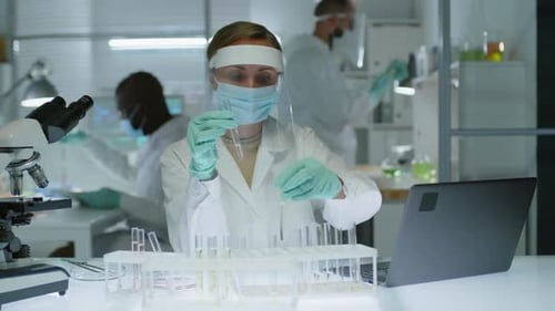 Medical Professional Examining Test Tubes in Laboratory