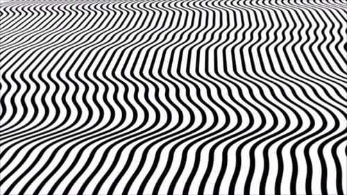 Abstract Wavy Black and White Lines Loop Background