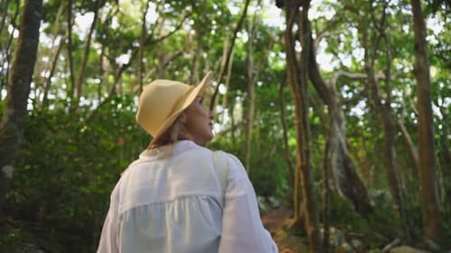 A Woman in a Shirt and Hat Walks Along a Jungle Trail Captured From Behind Amidst Lush Green