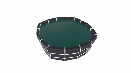 Stylized Oval Swimming Pool Design
