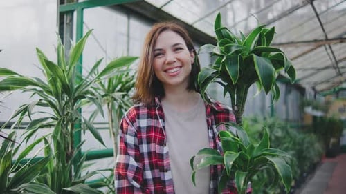 Portrait of a Beautiful Young Woman in a Greenhouse A Woman Holds a Pot of a Plant in Her Hands and