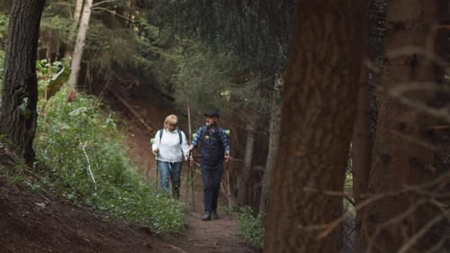 Couple of Caucasian Pensioners with Backpacks and Hiking Sticks Calmly Walk on the Narrow Trail in