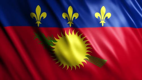 Animated Waving Flag with Fleur-de-Lis and Sun Emblem