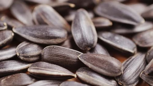 Gray Sunflower Seeds Top View Background Texture