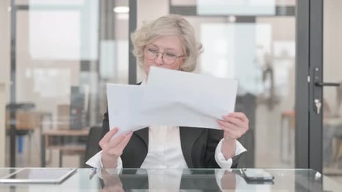 Professional Woman Reviews Documents in Office Setting
