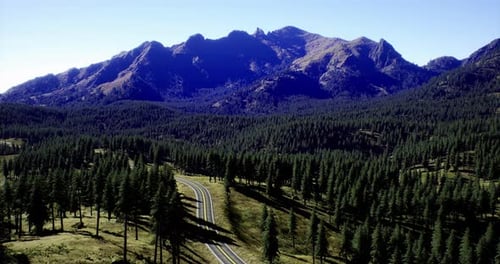 Mountain Landscape with Winding Road Through Forest in Bright Daylight