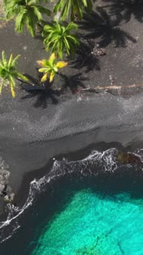 Aerial View of Black Sand Beach with Palm Trees and Turquoise Waters in Hawaii
