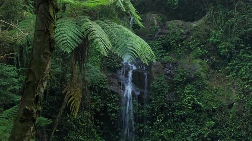 Tropical Waterfall Flowing Through Lush Green Forest