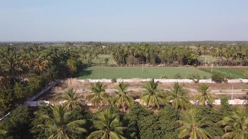 Cinematic aerial view of big farms and coconut farms in village, drone shot of farms