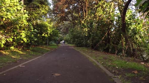 Traveling over a walking-path in a city garden surrounded by trees and two guys in the background.