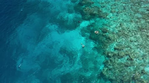 Snorkeling Over Coral Reef with Clear Blue Ocean Water