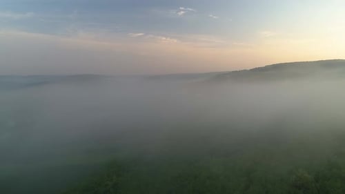 white modern bulding appearing from the fog over the forest
