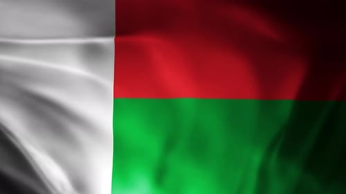 Realistic Waving Flag of Madagascar Seamless Loop Animation