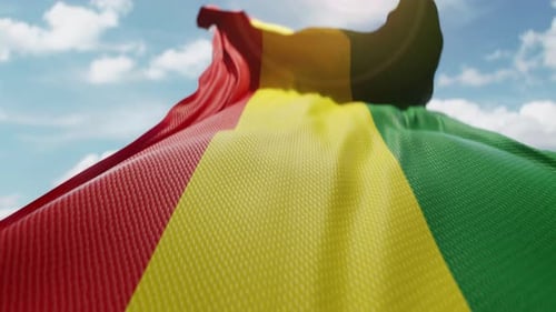 Waving Flag with Red Yellow Green Stripes