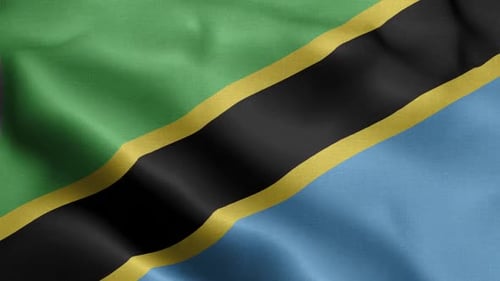 Seamless Waving Tanzania Flag Loop Animation